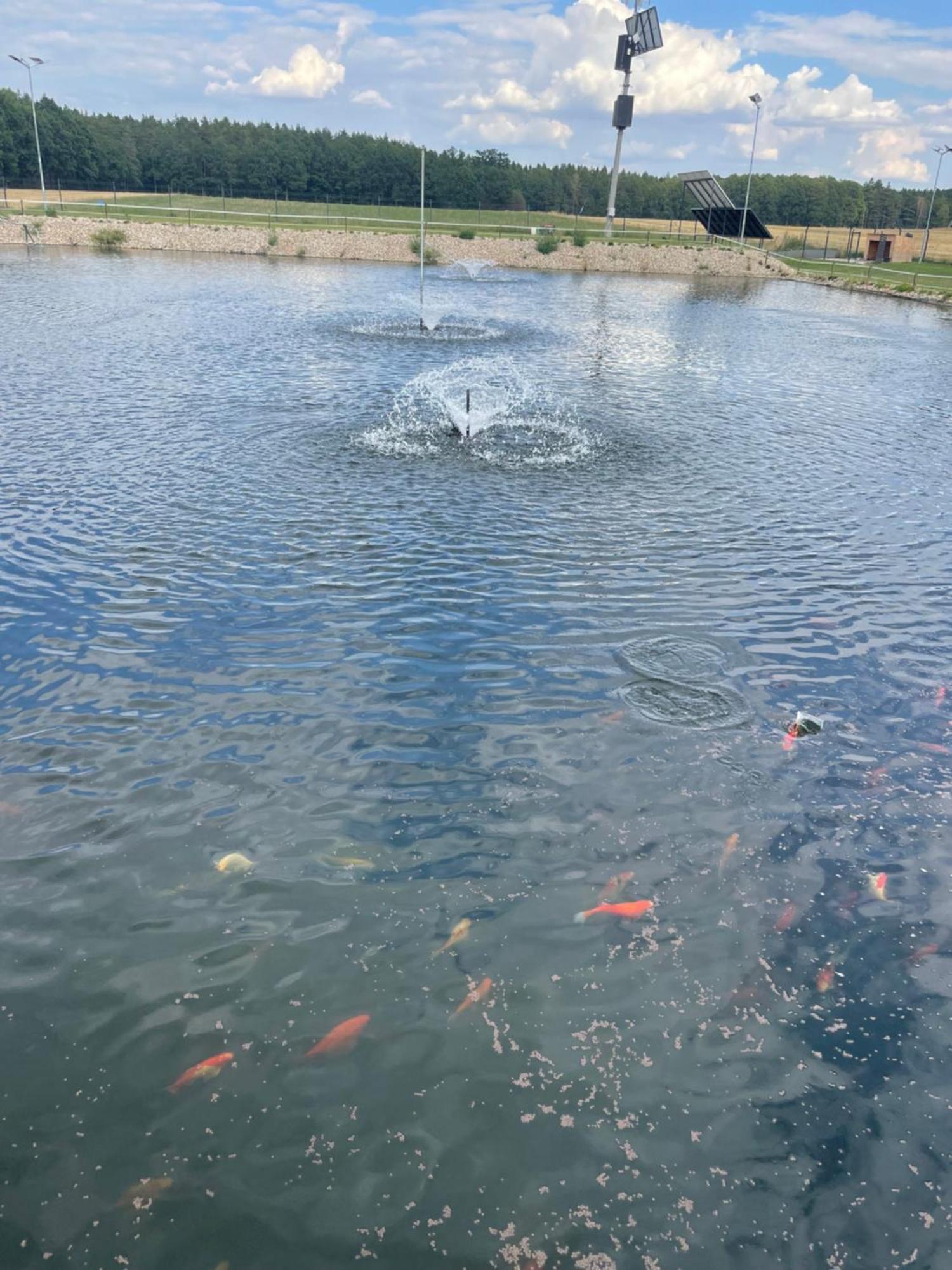 Agroturystyka Ranczo Gosciszow Nowogrodziec Bagian luar foto
